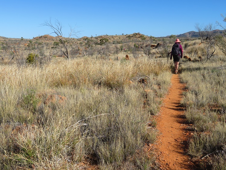 Walking through the Alice Valley on the Larapinta Trail Central Australia