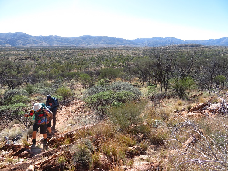Walking through the Alice Valley on the Larapinta Trail Central Australia