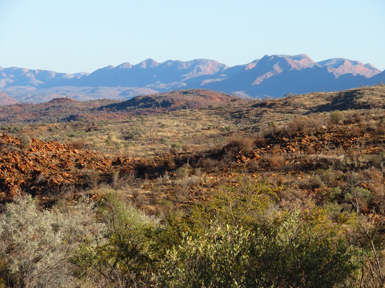 Walking in the Alice Valley on the Larapinta Trail, Central Australia
