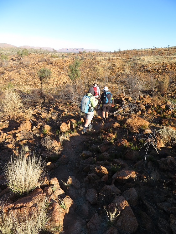 Walking in the Alice Valley on the Larapinta Trail, Central Australia