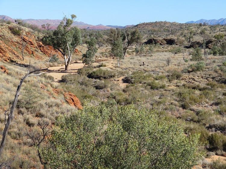Walking in the Alice Valley on the Larapinta Trail, Central Australia