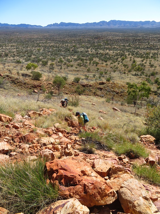 Walking in the Alice Valley on the Larapinta Trail, Central Australia