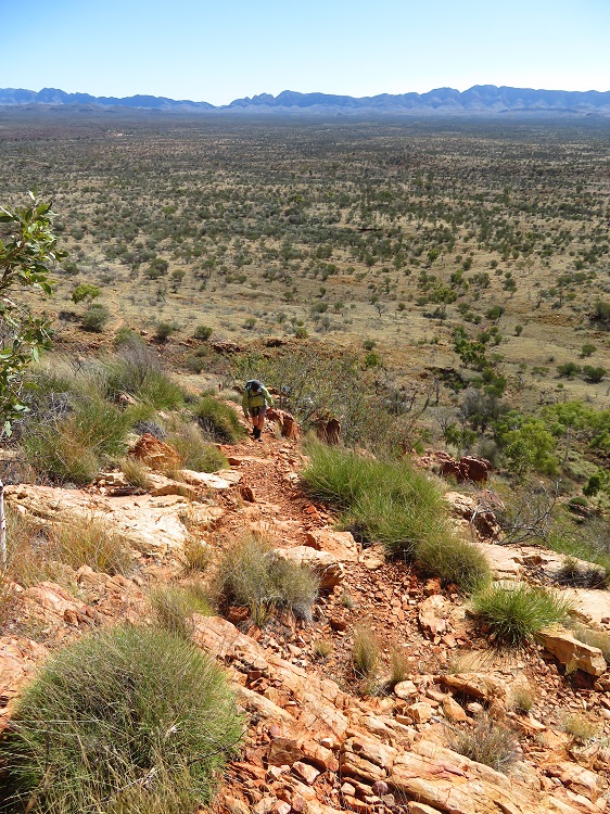 Walking in the Alice Valley on the Larapinta Trail, Central Australia