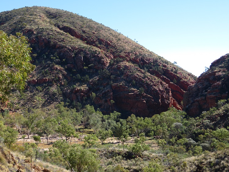 Walking in the Alice Valley on the Larapinta Trail, Central Australia