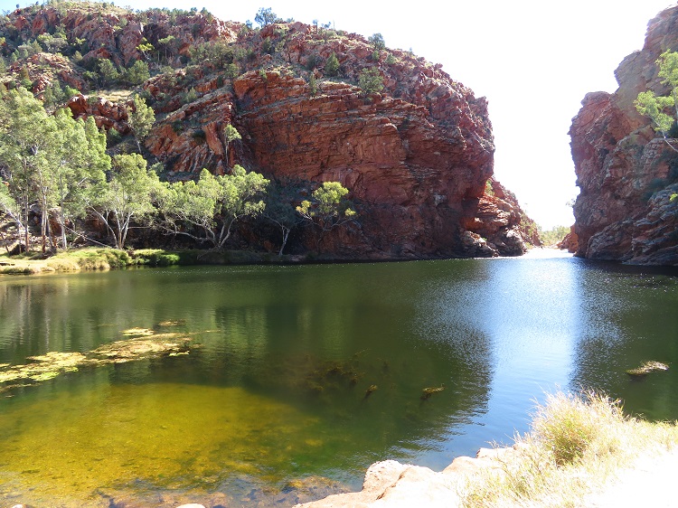 Ellery Creek Big Hole South on the Larapinta Trail, Central Australia