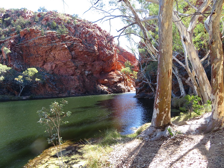 Ellery Creek Big Hole South on the Larapinta Trail, Central Australia