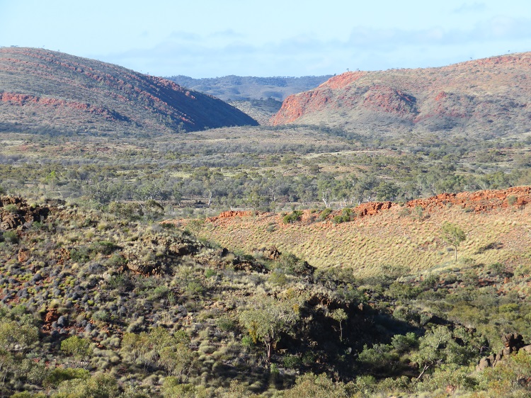 Dusty colours of the landscape on the Larapinta Trail