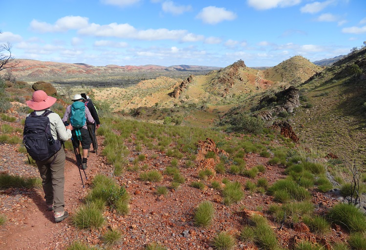 Wide, open views on the Larapinta Trail