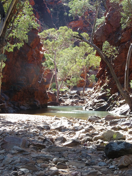 Serpentine Gorge on the Larapinta Trail