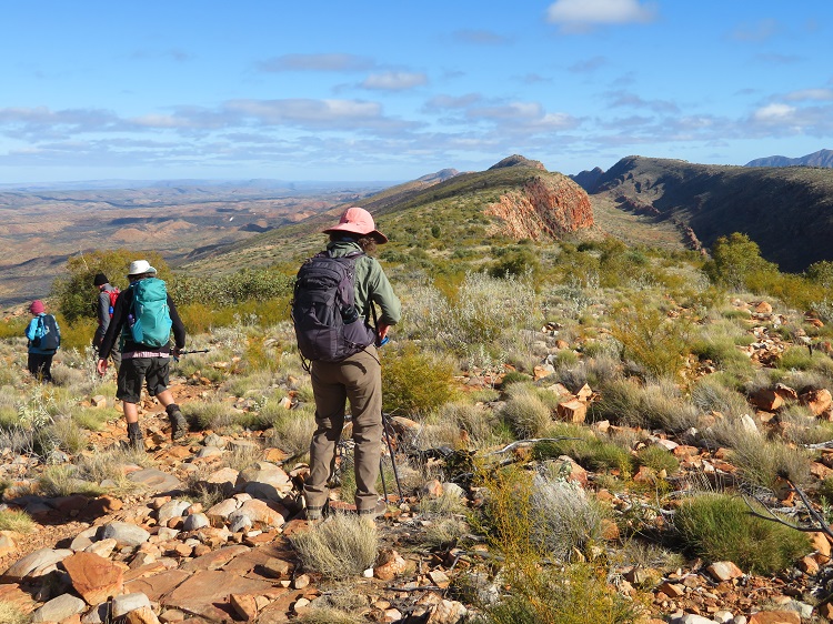 Amazing views on the top of the ridge heading towards Counts Point on the Larapinta Trail, Central Australia