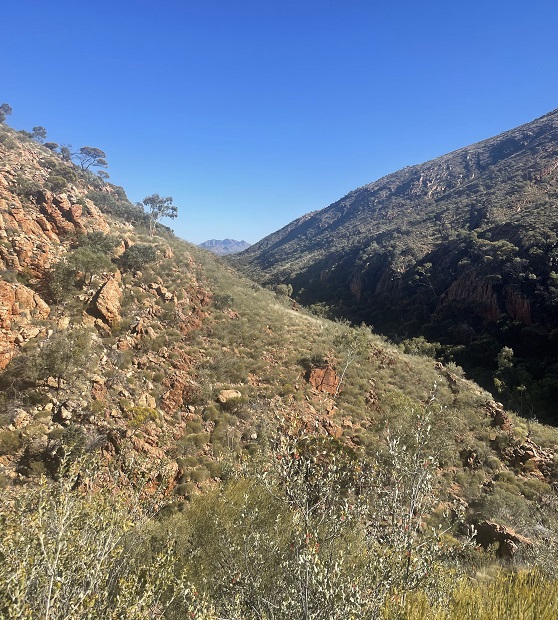 Climbing above Waterfall Gorge with views of Mt Sonder in the distance.