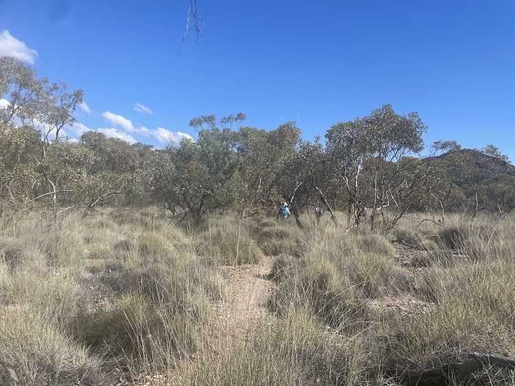 Walking the Larapinta Trail in Central Australia