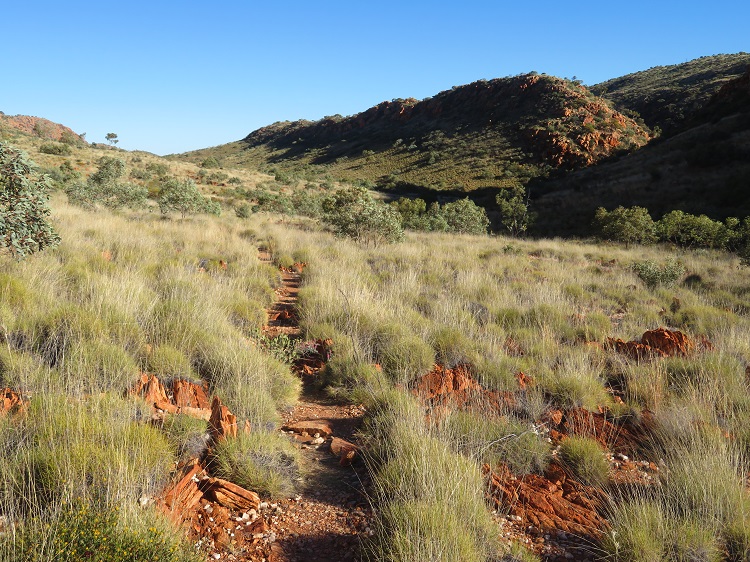 Beautiful views on the Larapinta Trail