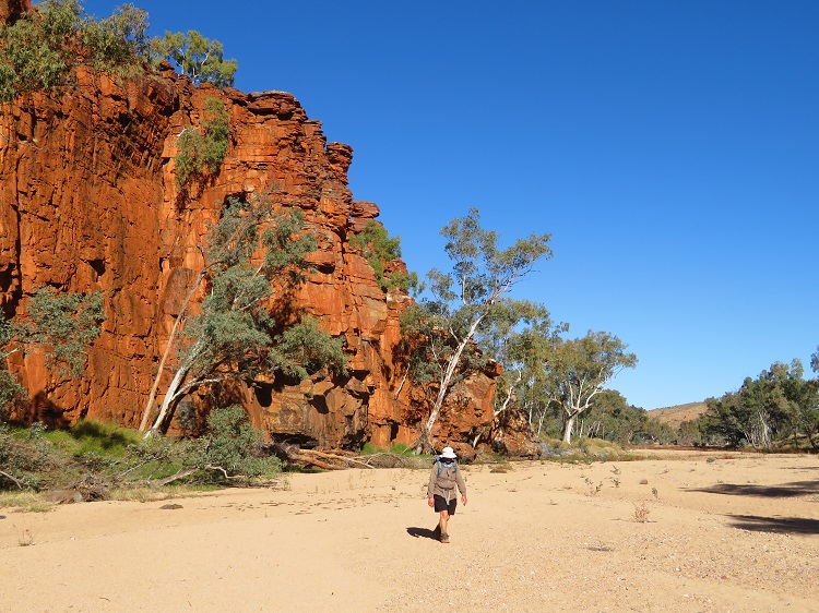 Red cliffs next to the Finke River at Ormiston Gorge, Larapinta Trail
