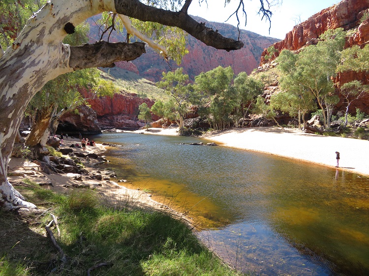 Red cliffs next to the Finke River at Ormiston Gorge, Larapinta Trail