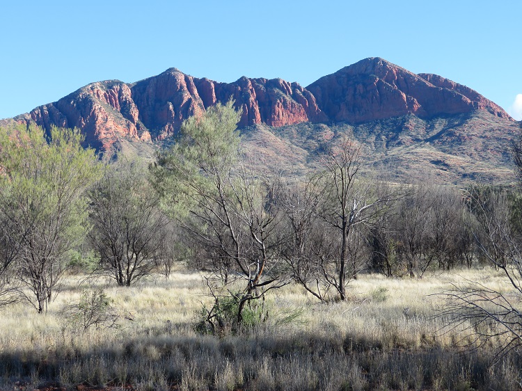 Mt Sonder, The Larapinta Trail, Central Australia