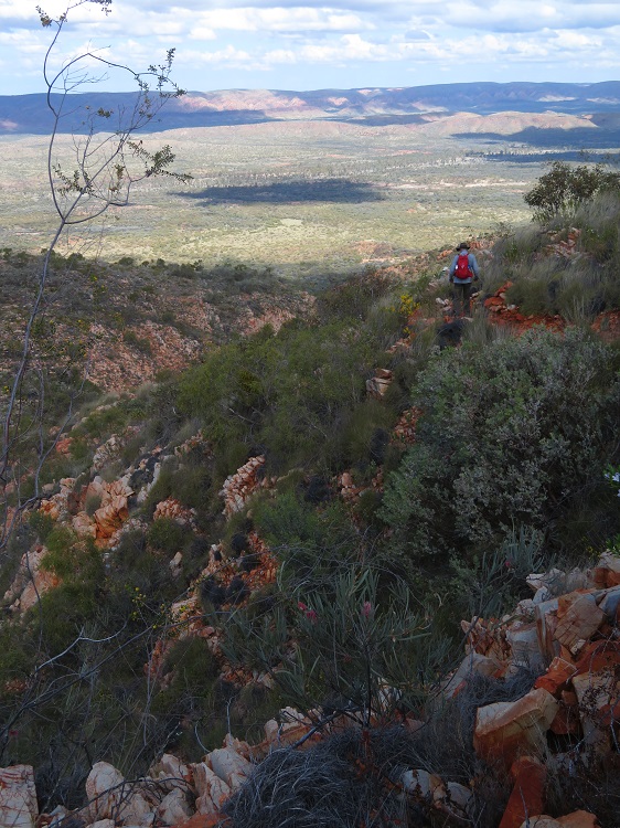 From Hilltop Lookout, The Larapinta Trail, Central Australia