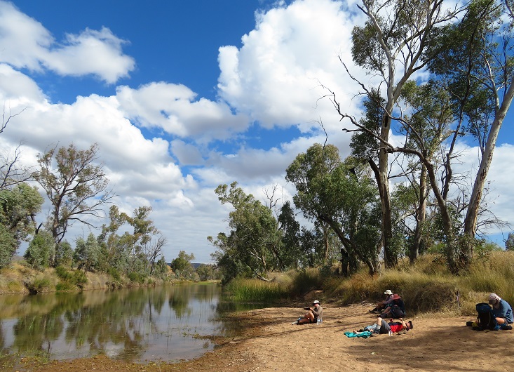 The perfect lunch spot on Davenport Creek, on The Larapinta Trail