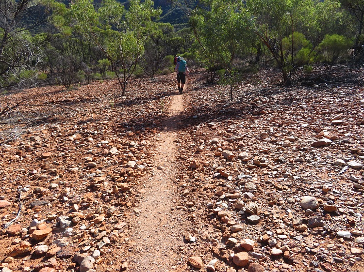 Walking the Larapinta Trail in Central Australia