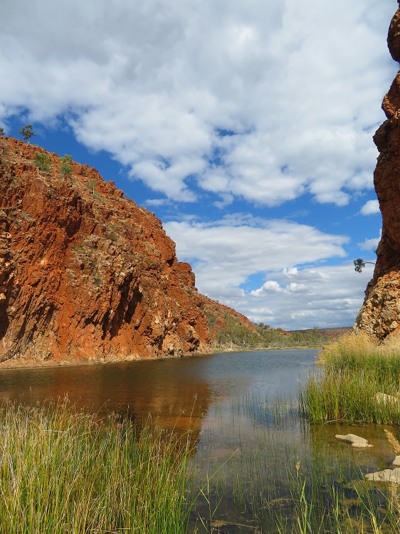 Glen Helen Gorge in Central Australia