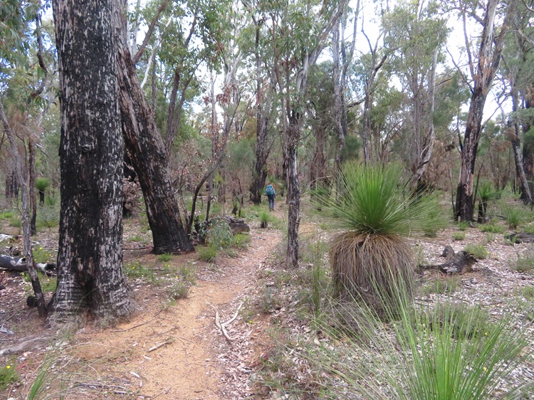 The Bibbulmun Track, Western Australia