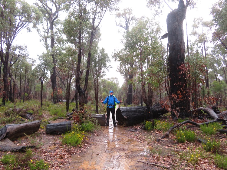 The Bibbulmun Track, Western Australia