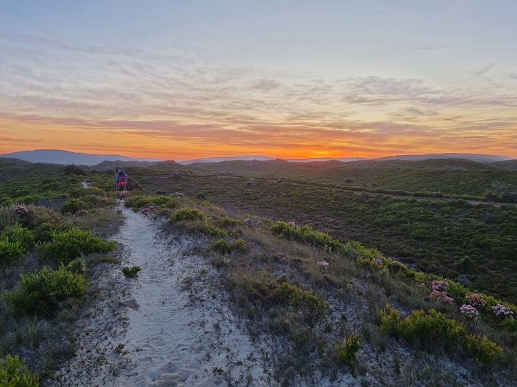 Early morning on the Bibbulmun Track, Western Australia