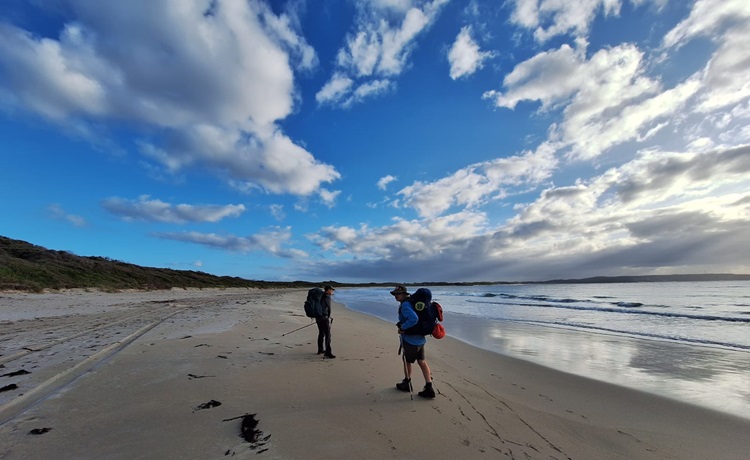 Early morning views on the Bibbulmun Track