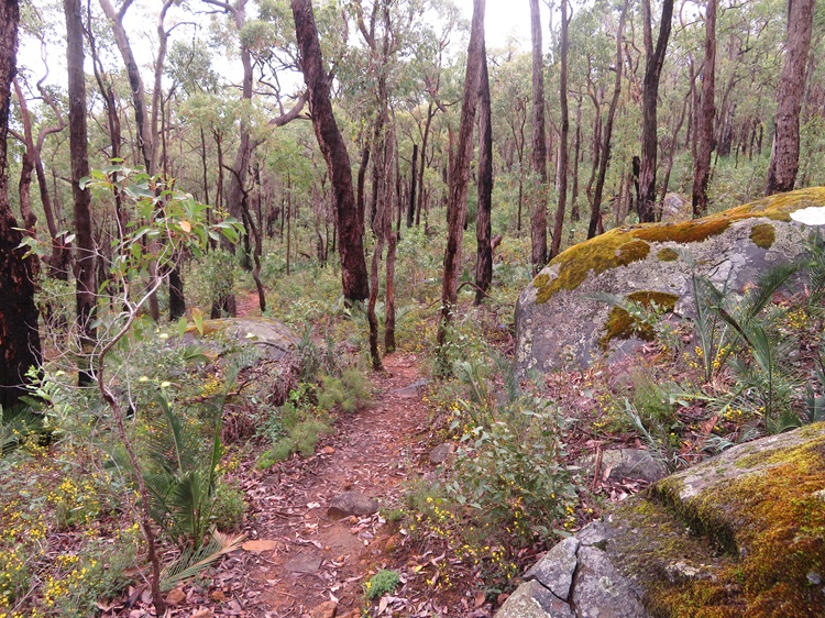 The Bibbulmun Track