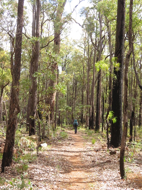 The Bibbulmun Track