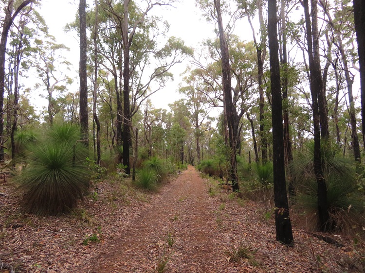 The Bibbulmun Track