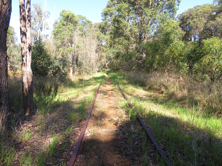 On the Bibbulmun Track