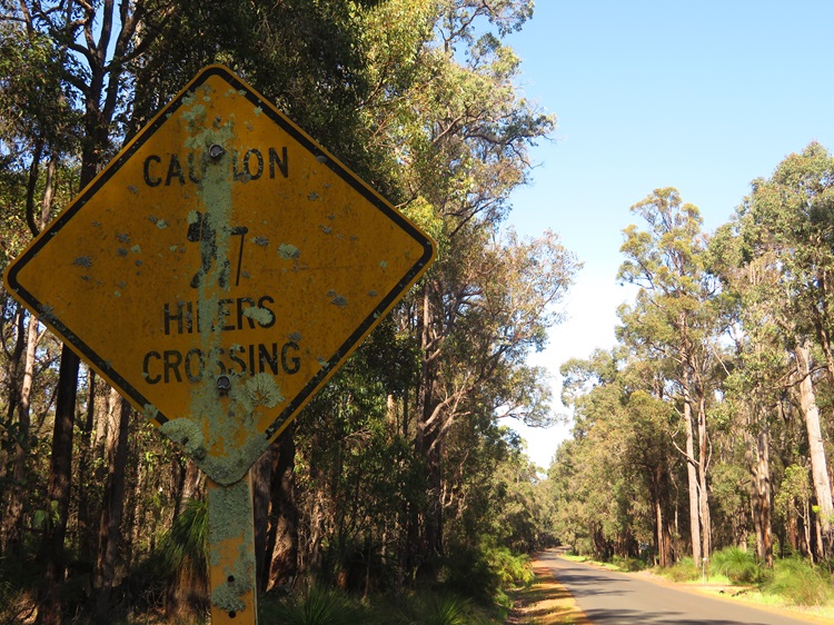 A mossy sign on the Bibbulmun Track