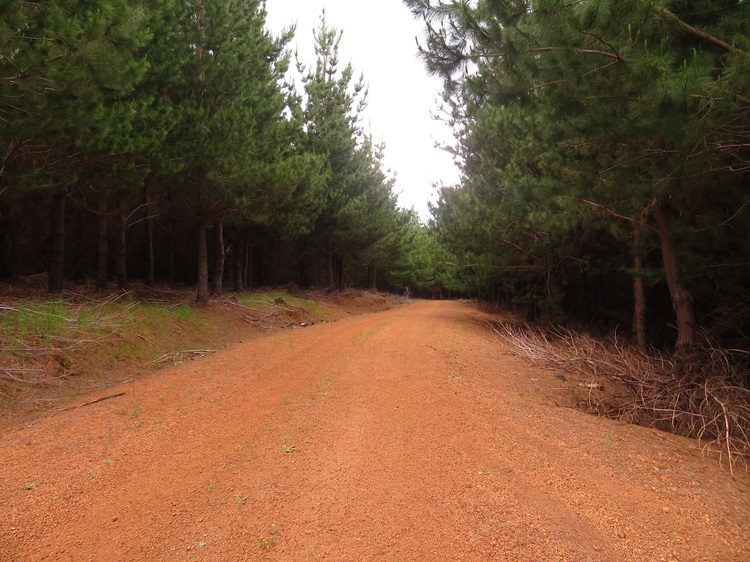Views from the Bibbulmun Track