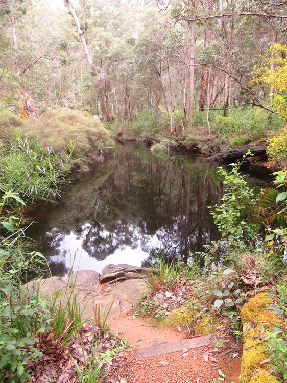 the Bibbulmun Track campsite