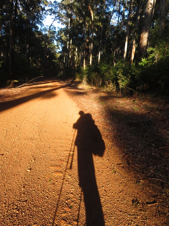 Shadow on the Bibbulmun Track