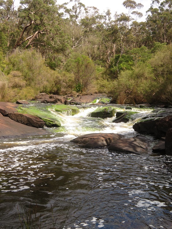 Waterways on the Bibbulmun Track