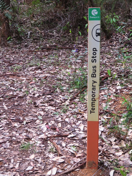 Temporary bus stop on the Bibbulmun Track