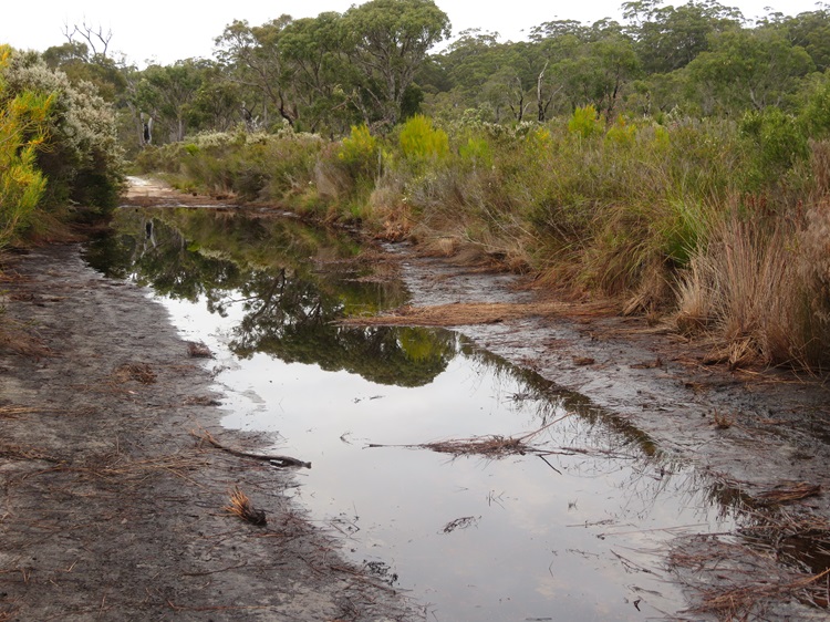 Getting close to the Pingerup Plains on The Bibbulmun Track