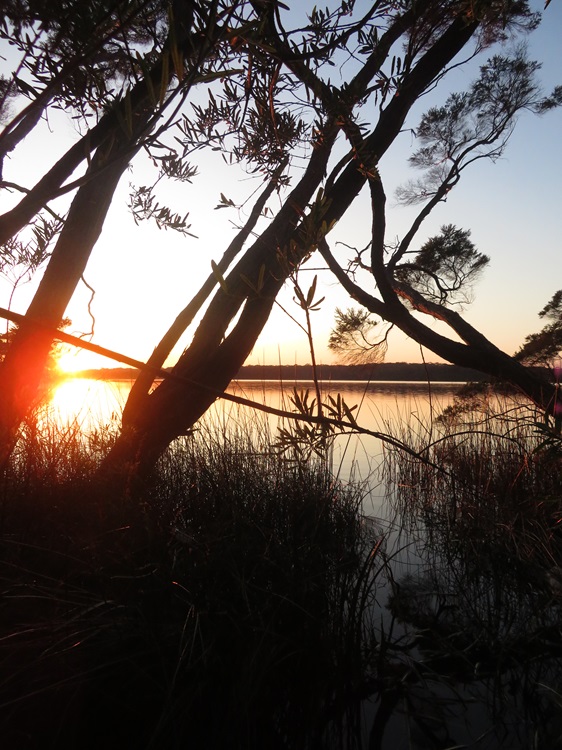 Views of Lake Maringup on The Bibbulmun Track