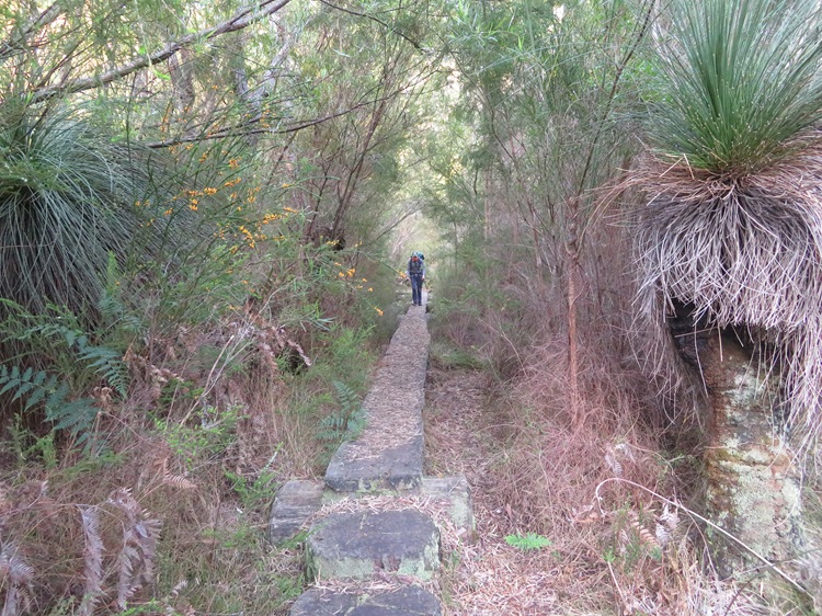 Boardwalks on The Bibbulmun Track