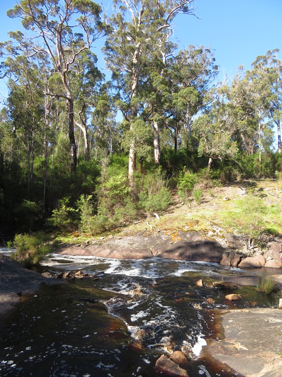 The river at Dog Pool campsite on The Bibbulmun Track, Western Australlia
