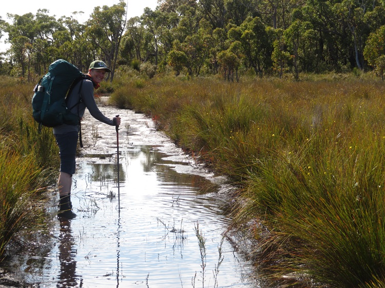 Wet feet on the Pingerup Plains on The Bibbulmun Track