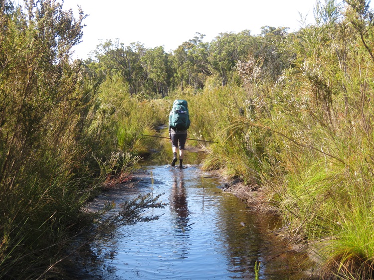 Wet feet on the Pingerup Plains on The Bibbulmun Track