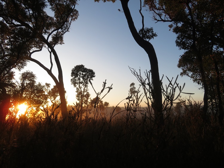 Sunrise leaving Woolbales campsite on The Bibbulmun Track, Western Australlia