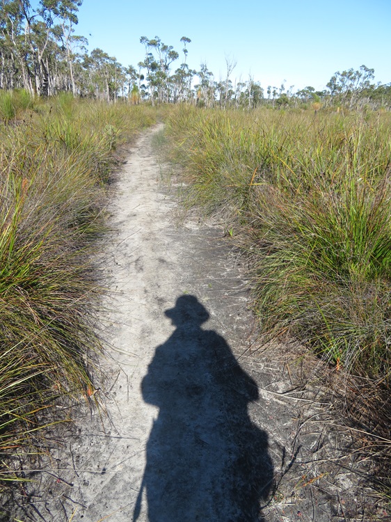 On The Bibbulmun Track, Western Australlia