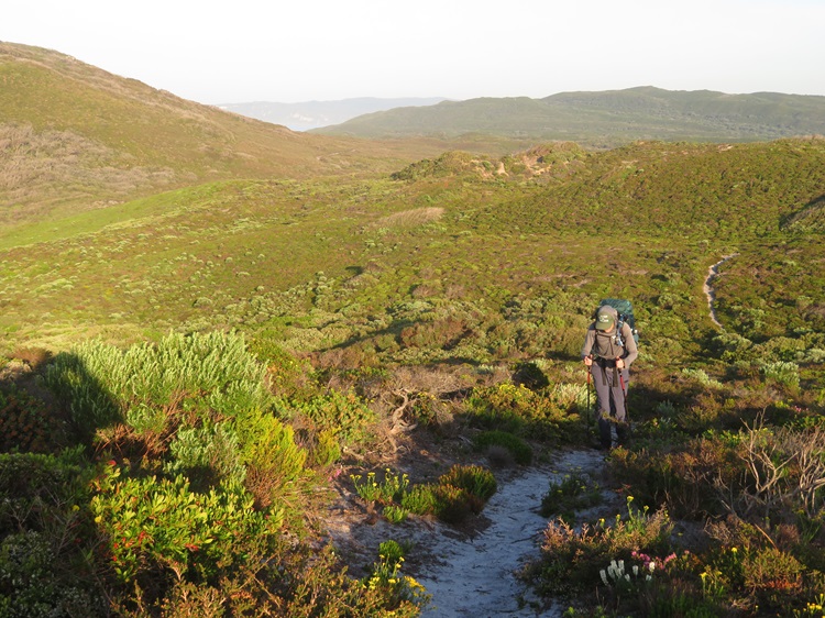 Sandy tracks on the Bibbulmun Track, Western Australia