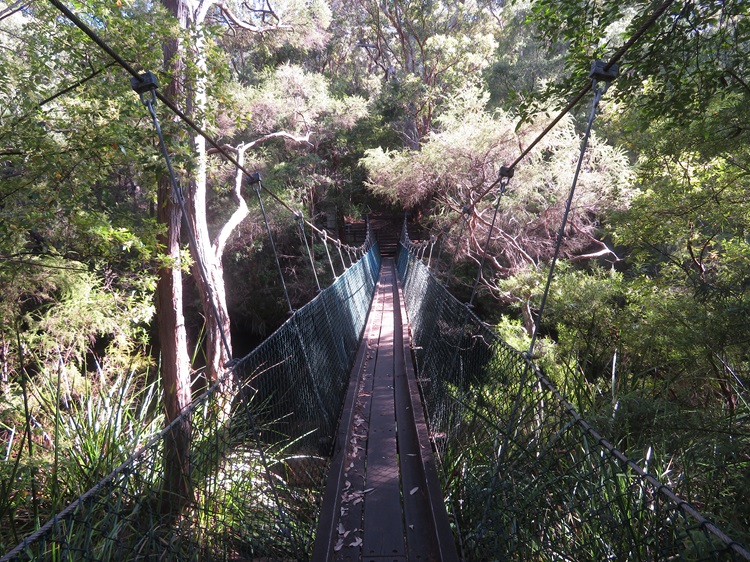 A swinging bridge on the Bibbulmun Track, Western Australia