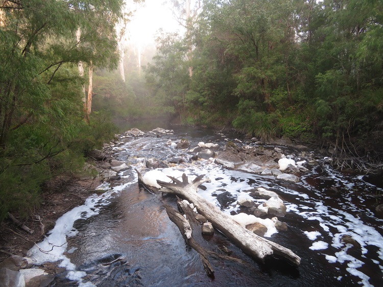 Inland streams on the Bibbulmun Track, Western Australia