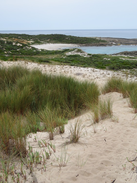 The Bibbulmun Track, Western Australia
